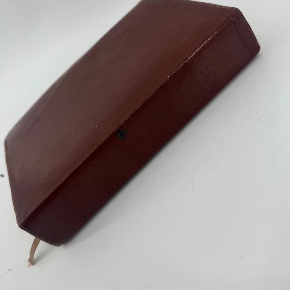 Life Application Study‎ Bible International Version Brown Crocodile Embossed